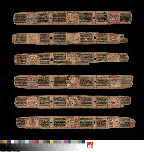 Illustrated folios (95r, 206r, 1v, 94v, 2r, 205v).